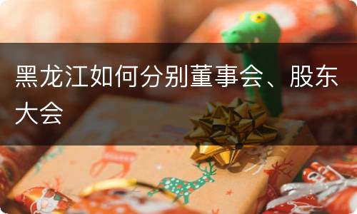 黑龙江如何分别董事会、股东大会