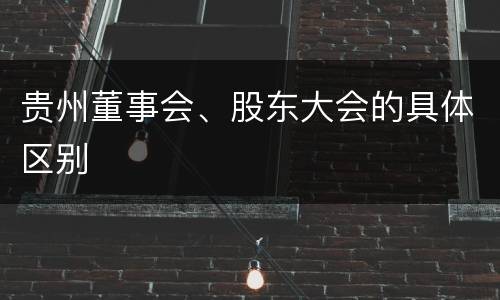 贵州董事会、股东大会的具体区别