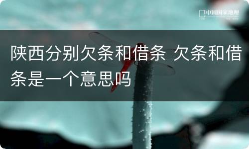 陕西分别欠条和借条 欠条和借条是一个意思吗