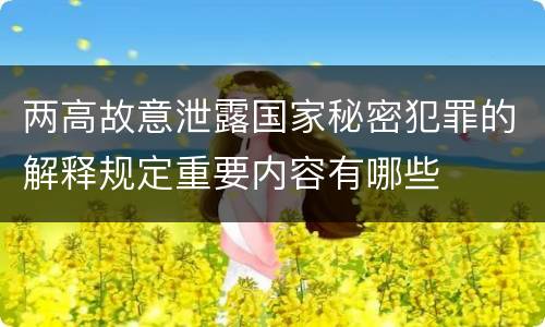 两高故意泄露国家秘密犯罪的解释规定重要内容有哪些