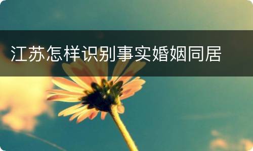 江苏怎样识别事实婚姻同居