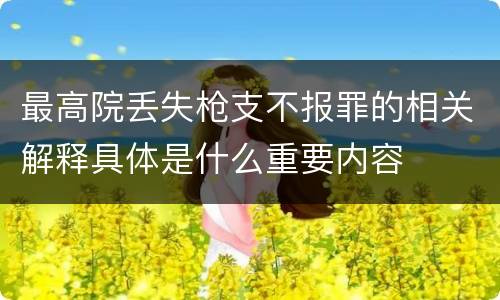 最高院丢失枪支不报罪的相关解释具体是什么重要内容
