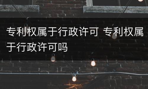专利权属于行政许可 专利权属于行政许可吗