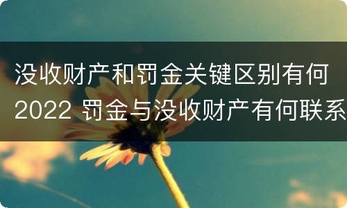 没收财产和罚金关键区别有何2022 罚金与没收财产有何联系和区别?