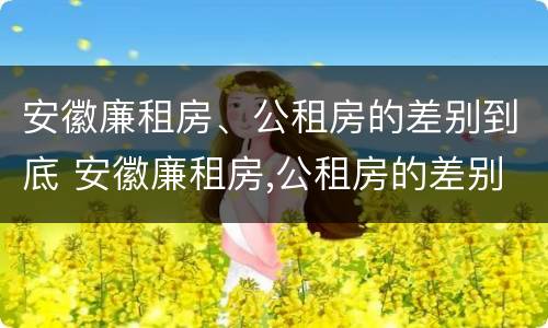 安徽廉租房、公租房的差别到底 安徽廉租房,公租房的差别到底多大