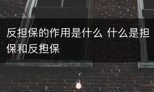 反担保的作用是什么 什么是担保和反担保