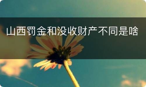 山西罚金和没收财产不同是啥