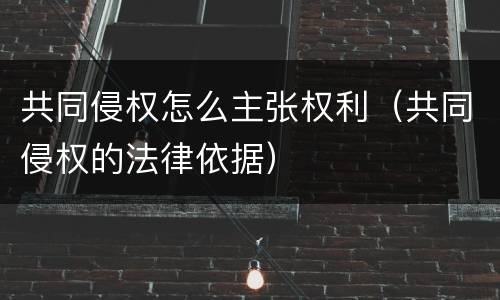 共同侵权怎么主张权利（共同侵权的法律依据）