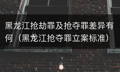 黑龙江抢劫罪及抢夺罪差异有何（黑龙江抢夺罪立案标准）