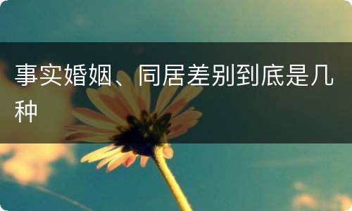 事实婚姻、同居差别到底是几种
