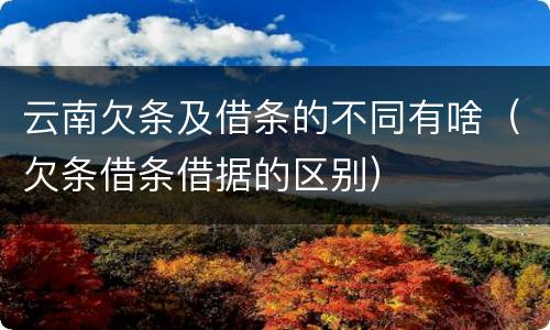 云南欠条及借条的不同有啥（欠条借条借据的区别）