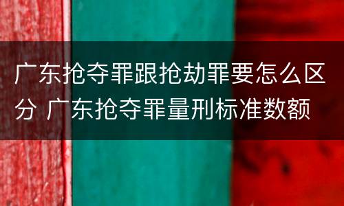 广东抢夺罪跟抢劫罪要怎么区分 广东抢夺罪量刑标准数额