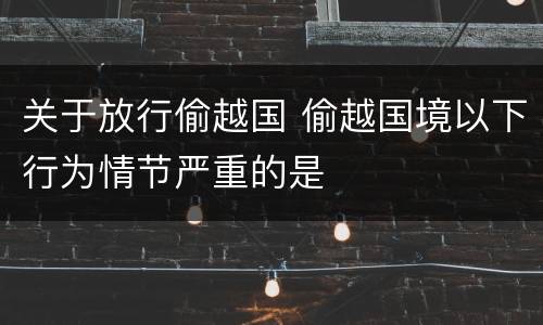 关于放行偷越国 偷越国境以下行为情节严重的是