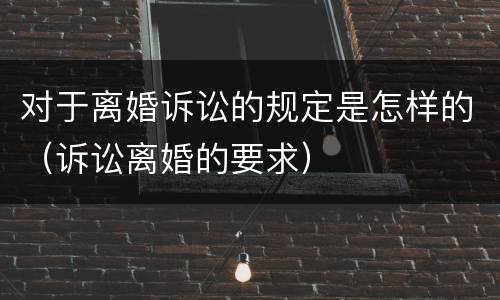 对于离婚诉讼的规定是怎样的（诉讼离婚的要求）