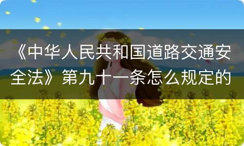《中华人民共和国道路交通安全法》第九十一条怎么规定的