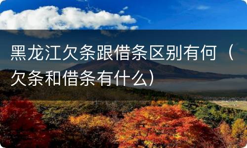 黑龙江欠条跟借条区别有何（欠条和借条有什么）