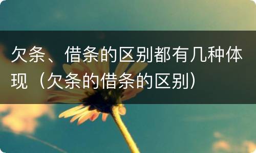 欠条、借条的区别都有几种体现（欠条的借条的区别）