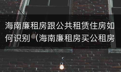 海南廉租房跟公共租赁住房如何识别（海南廉租房买公租房后悔了）