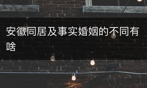 安徽同居及事实婚姻的不同有啥