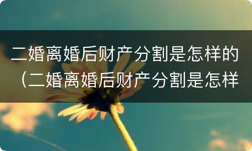 二婚离婚后财产分割是怎样的（二婚离婚后财产分割是怎样的法律规定）