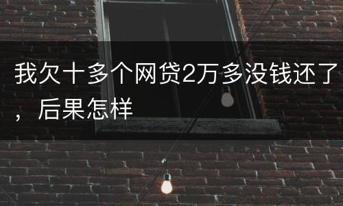 我欠十多个网贷2万多没钱还了，后果怎样