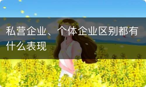 私营企业、个体企业区别都有什么表现