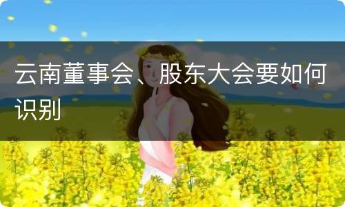 云南董事会、股东大会要如何识别