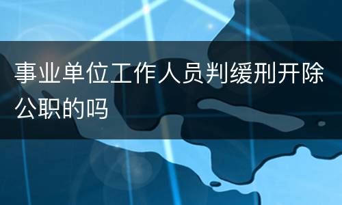 事业单位工作人员判缓刑开除公职的吗