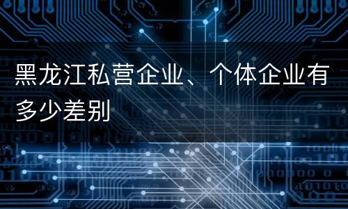 黑龙江私营企业、个体企业有多少差别