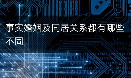 事实婚姻及同居关系都有哪些不同