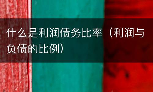 什么是利润债务比率（利润与负债的比例）