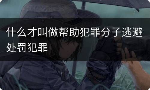 什么才叫做帮助犯罪分子逃避处罚犯罪