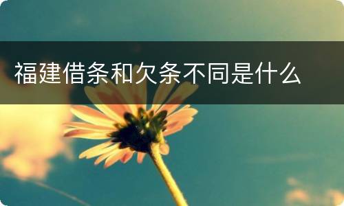 福建借条和欠条不同是什么