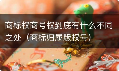 商标权商号权到底有什么不同之处（商标归属版权号）