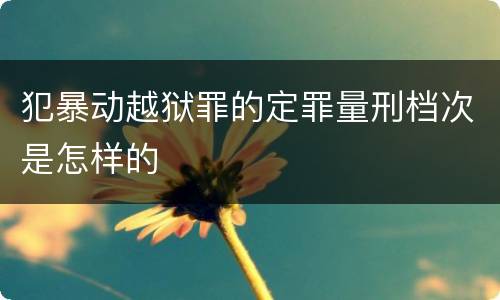 犯暴动越狱罪的定罪量刑档次是怎样的