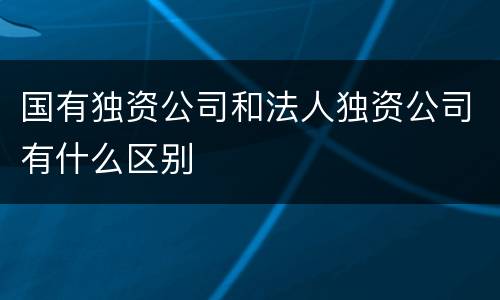 国有独资公司和法人独资公司有什么区别