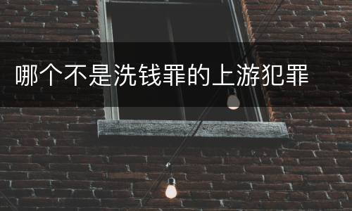 哪个不是洗钱罪的上游犯罪