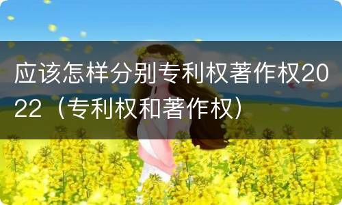 应该怎样分别专利权著作权2022（专利权和著作权）