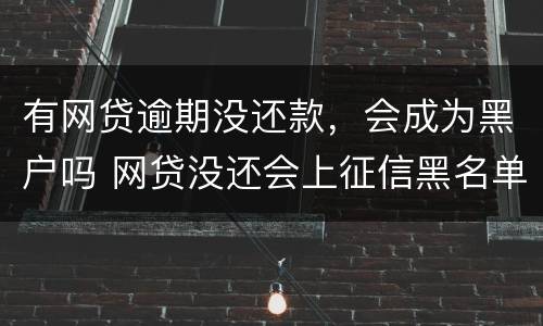 有网贷逾期没还款，会成为黑户吗 网贷没还会上征信黑名单吗