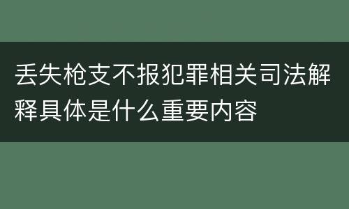 丢失枪支不报犯罪相关司法解释具体是什么重要内容