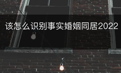 该怎么识别事实婚姻同居2022