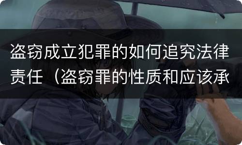 盗窃成立犯罪的如何追究法律责任（盗窃罪的性质和应该承担的法律责任）