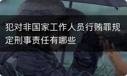 犯对非国家工作人员行贿罪规定刑事责任有哪些