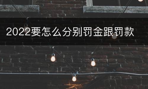 2022要怎么分别罚金跟罚款