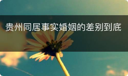 贵州同居事实婚姻的差别到底