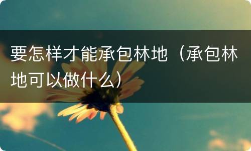 要怎样才能承包林地（承包林地可以做什么）