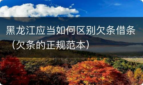 黑龙江应当如何区别欠条借条（欠条的正规范本）