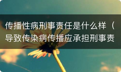 传播性病刑事责任是什么样（导致传染病传播应承担刑事责任）