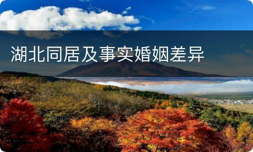 湖北同居及事实婚姻差异
