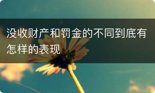 没收财产和罚金的不同到底有怎样的表现